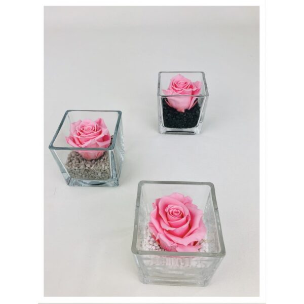 Le cube - Composition de rose stabilisée rose