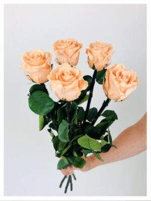 Roses stabilisées pêches Roses stabilisées pêches