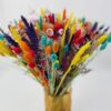 ARC EN CIEL 1 (50€.) Arc en Ciel - fleurs séchées