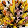 RAYON DE SOLEIL 2 (39,90€) Rayon de Soleil - fleurs séchées