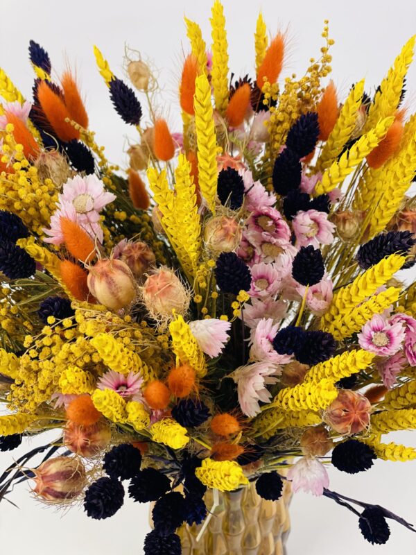 RAYON DE SOLEIL 2 (39,90€) Rayon de Soleil - fleurs séchées