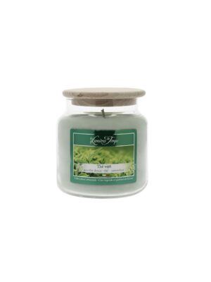 bougie-cire-coloree-430gr-the-vert Bougie colorée Thé vert
