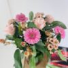 bqt rose 2 MELODIE