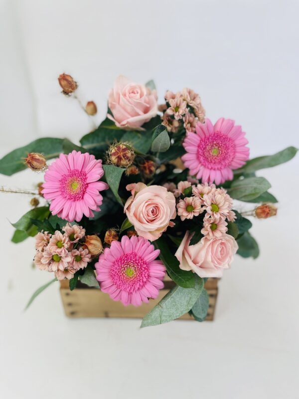 bqt rose MELODIE