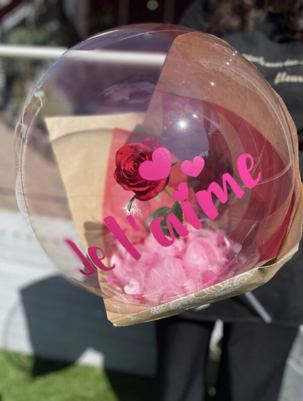 IMG_4017 Amour en bulle