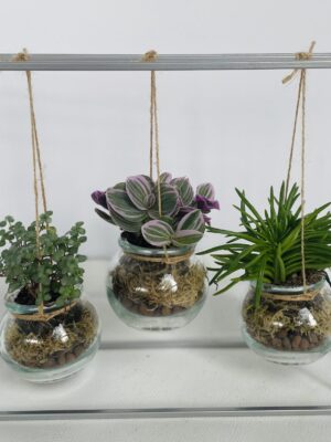 BALANCELLE TRIO