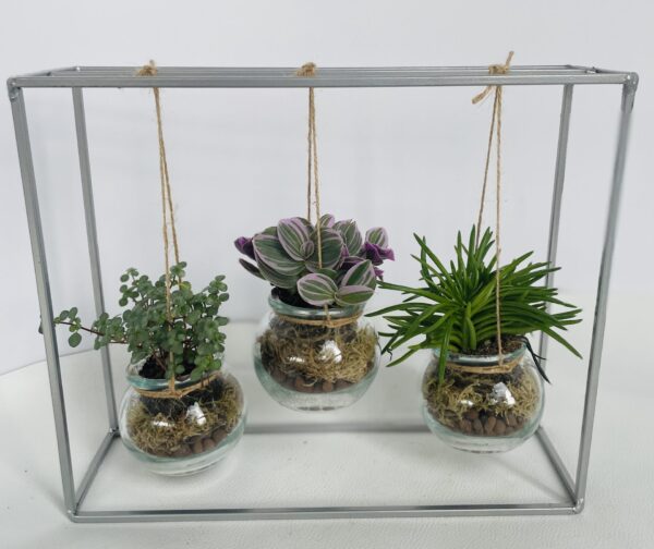 BALANCELLE TRIO