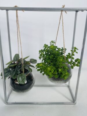BALANCELLE DUO