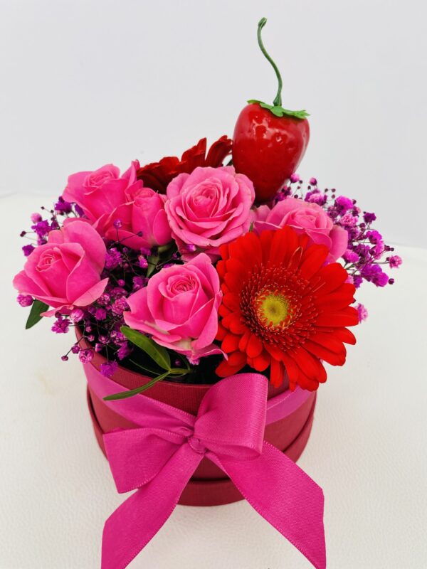 C3 Velours Fraise
