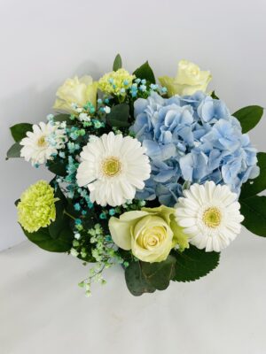 BS 1 NUAGE DE TENDRESSE